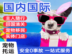 揭阳潮汕机场快运国际宠物托运 【国